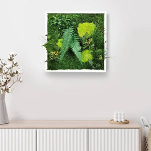 marco vegetal estabilizado