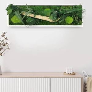 marco vegetal estabilizado