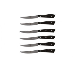 cuchillo de carne con mango de PMMA