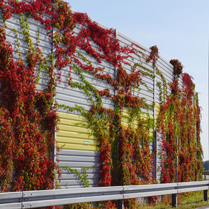 muro antirruido con paneles modulares