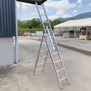escalera profesional de trabajo