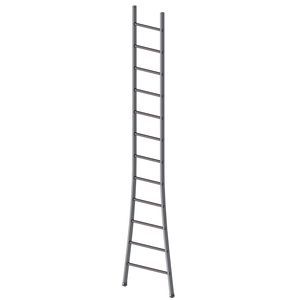 escalera profesional de trabajo