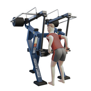 máquina de musculación extensión de espalda