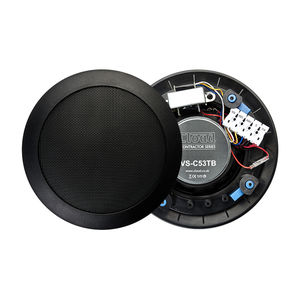 altavoz de techo