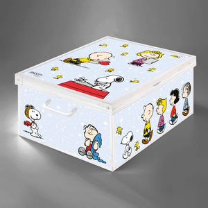 caja de almacenamiento de cartón