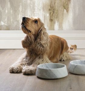 cuenco para perro de mármol
