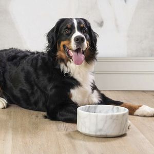 cuenco para perro de mármol de Carrara