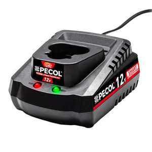 cargador eléctrico