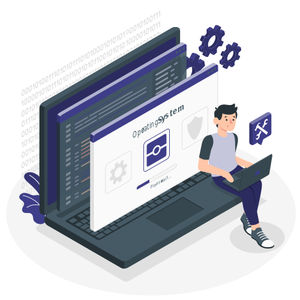 programa para informes