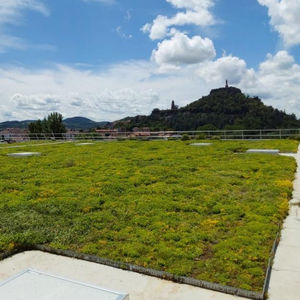 sistema de cubierta vegetal para tejado extensivo