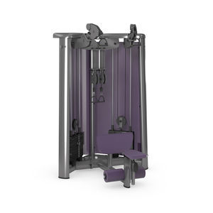 máquina de musculación bíceps