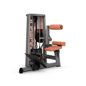 máquina de musculación crunch abdominal