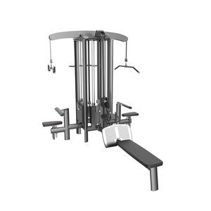 máquina de musculación bíceps
