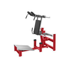 máquina de musculación squat
