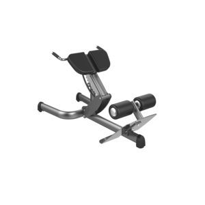 máquina de musculación extensión de espalda