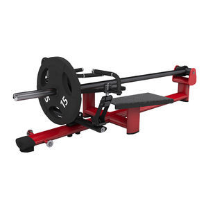 máquina de musculación espalda