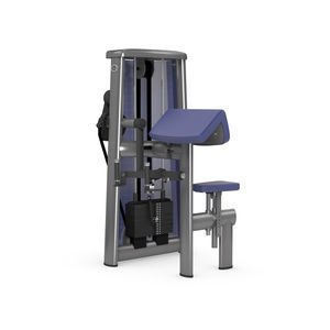 máquina de musculación bíceps