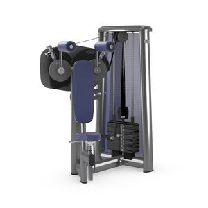 máquina de musculación bíceps