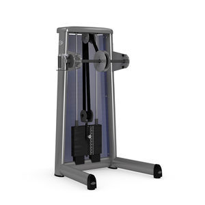 máquina de musculación rotación del torso