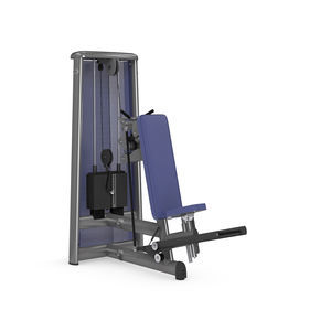 máquina de musculación de tríceps