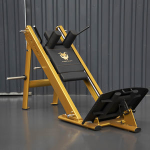 máquina de musculación extensión