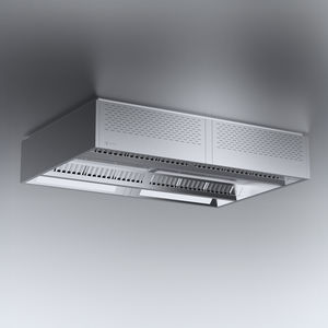 campana extractora para cocina profesional