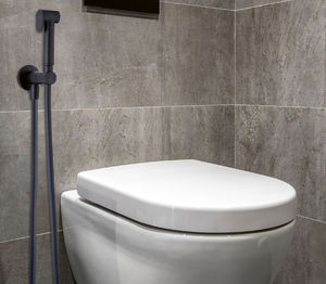 ducha de mano para baño