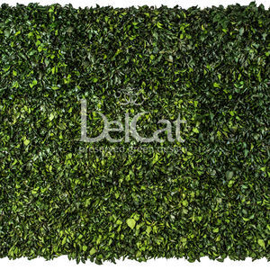 muro vegetal estabilizado