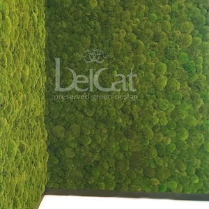 muro vegetal estabilizado
