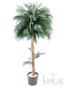planta ornamental estabilizada