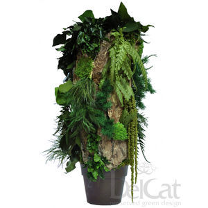 planta ornamental estabilizada
