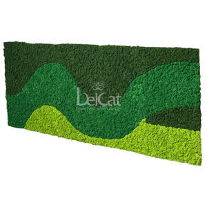 muro vegetal estabilizado