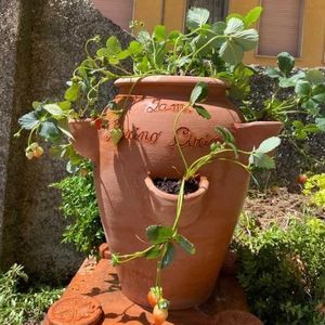 maceta de jardín de terracota