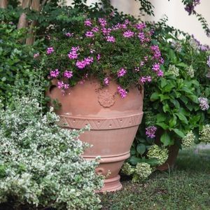 maceta de jardín de terracota
