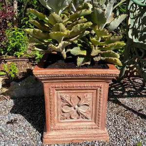 maceta de jardín de terracota