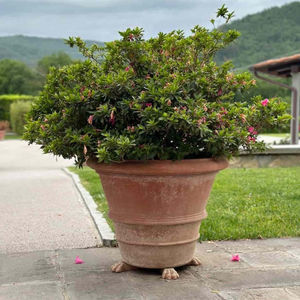 maceta de jardín de terracota