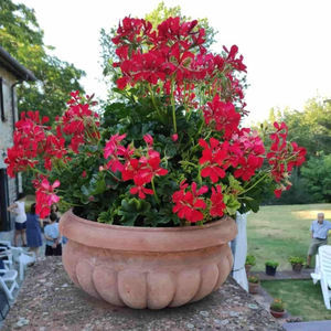 jardinera de terracota