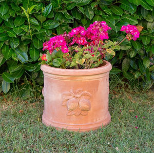 maceta de jardín de terracota
