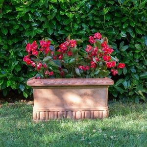 jardinera de terracota