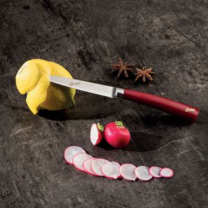 cuchillo de pelar con mango de resina