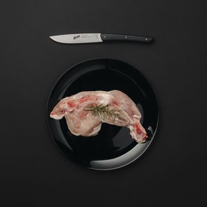 cuchillo de carne con mango de plástico
