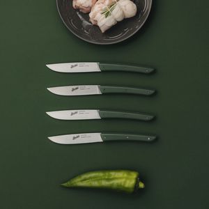 cuchillo de carne con mango de plástico