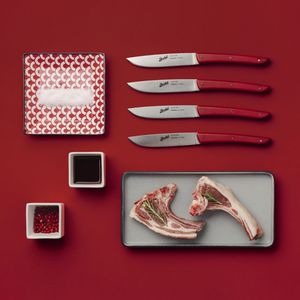 cuchillo de carne con mango de plástico