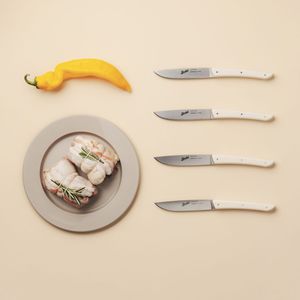 cuchillo de carne con mango de plástico