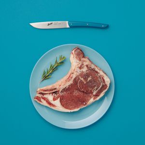 cuchillo de carne con mango de plástico