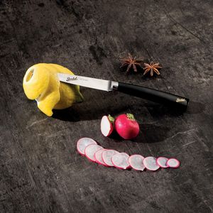 cuchillo de pelar con mango de resina