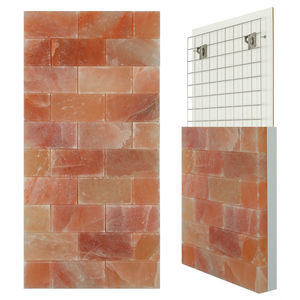 pared de sal de ladrillo