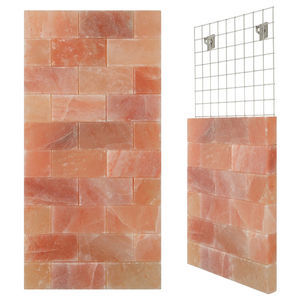 pared de sal de ladrillo