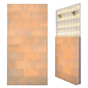 pared de sal de ladrillo