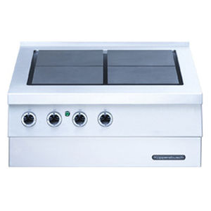 placa de cocina eléctrica / profesional
